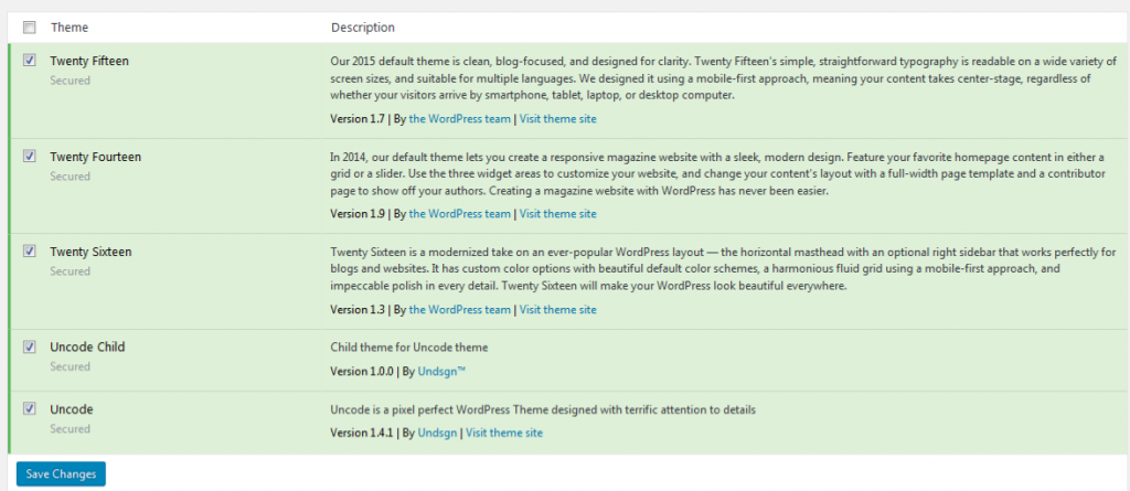 WordPress Theme Updates